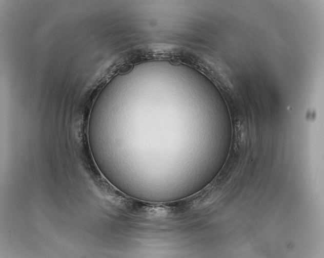 X0000091640698200709060938