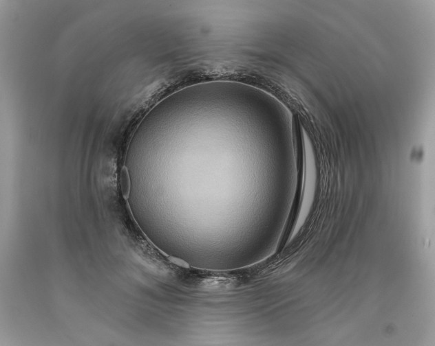 X0000091640700200709060938