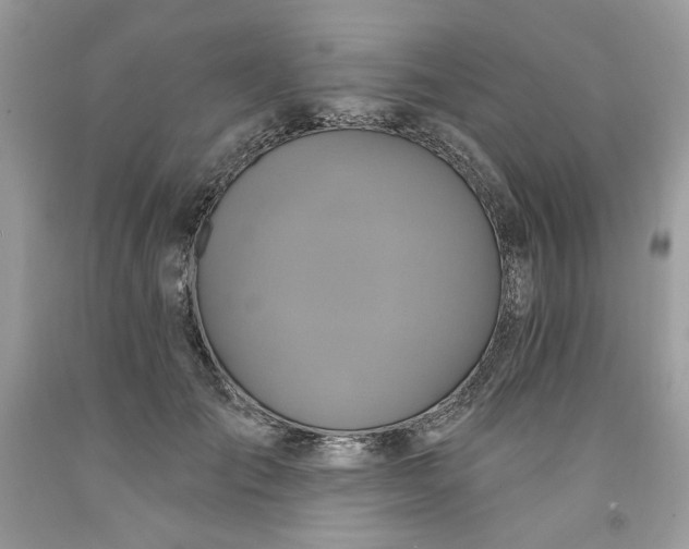 X0000091640701200709060938