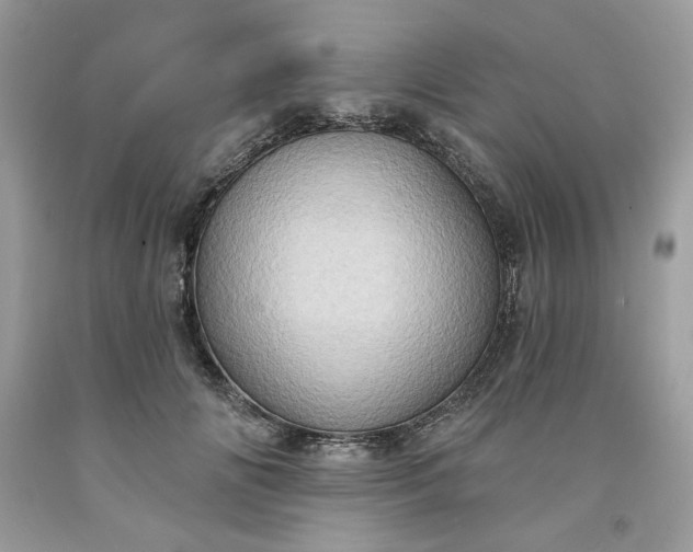 X0000091640702200709060938