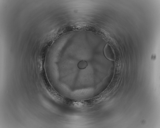 X0000091640703200709060938