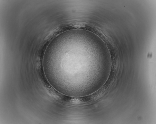 X0000091640704200709060938