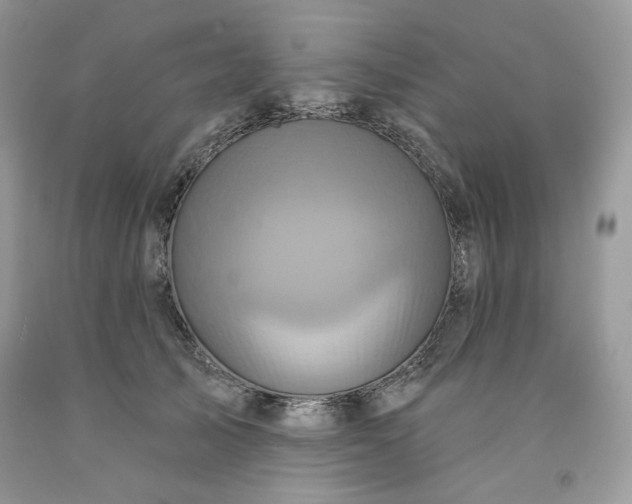 X0000091640705200709060938