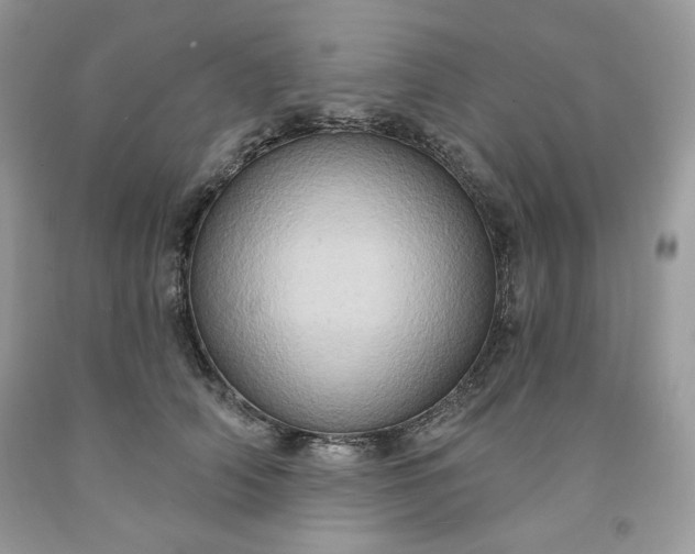 X0000091640706200709060938