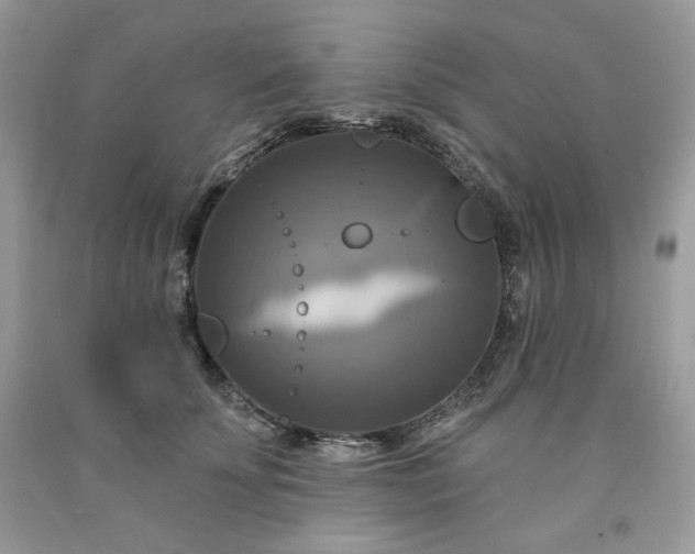 X0000091640707200709060938