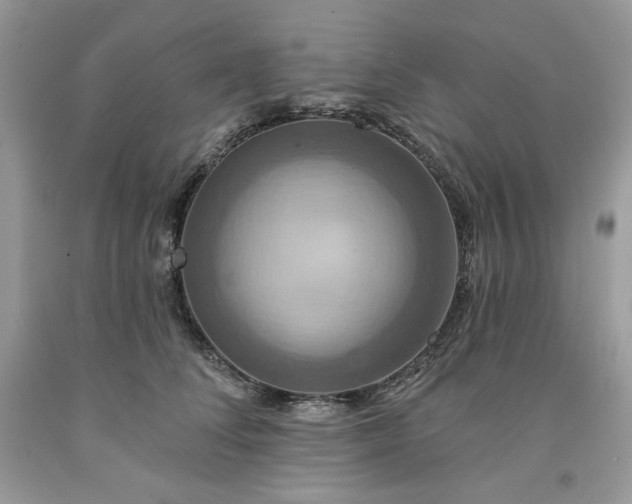 X0000091640708200709060938