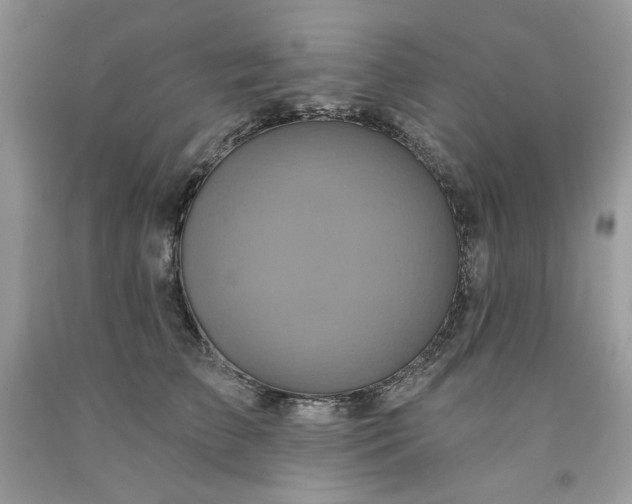 X0000091640709200709060938