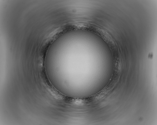 X0000091640710200709060938
