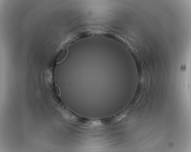 X0000091640715200709060938