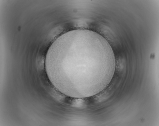 X0000091640717200709060938