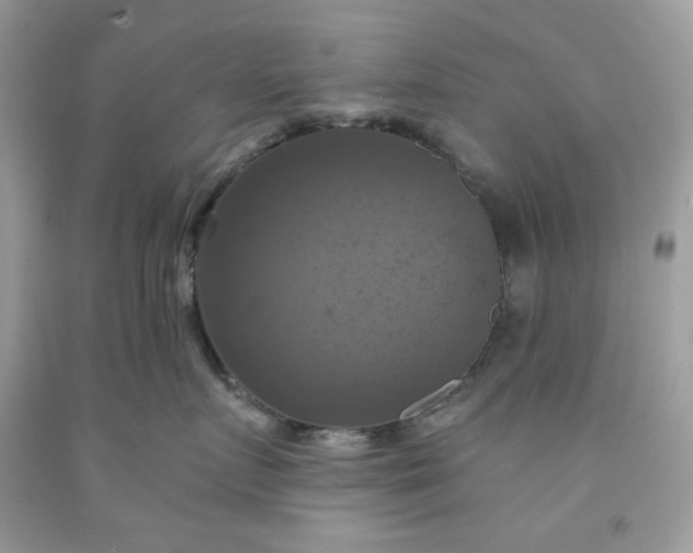 X0000091640719200709060938