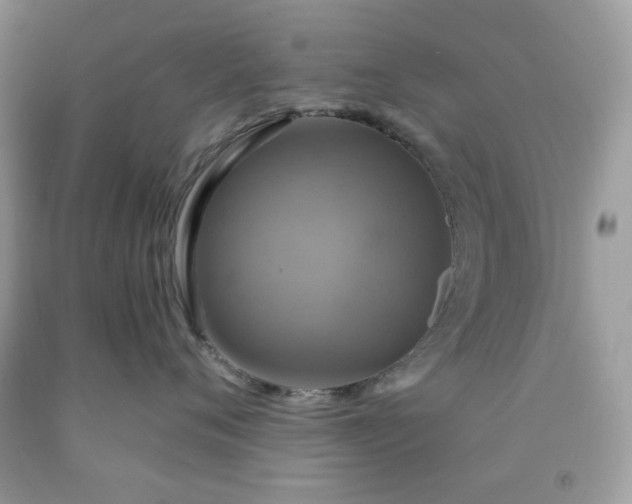 X0000091640720200709060938