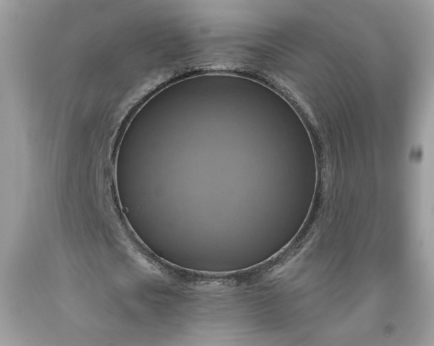 X0000091640721200709060937