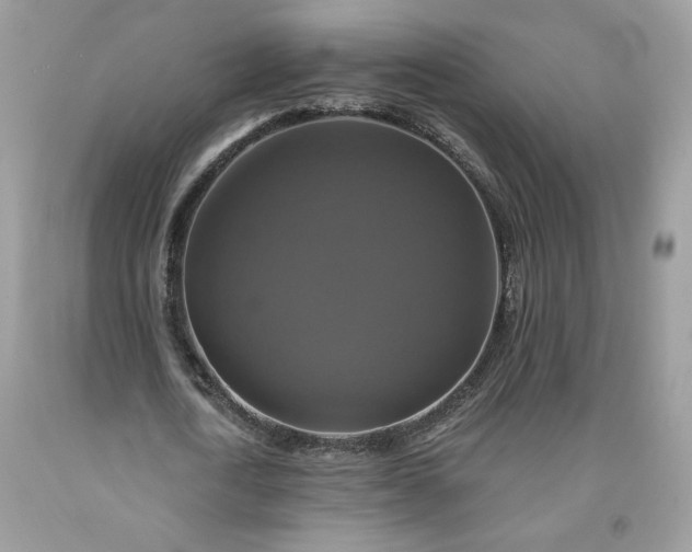 X0000091640722200709060937