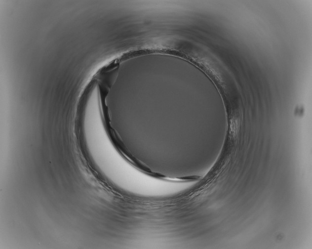 X0000091640724200709060937