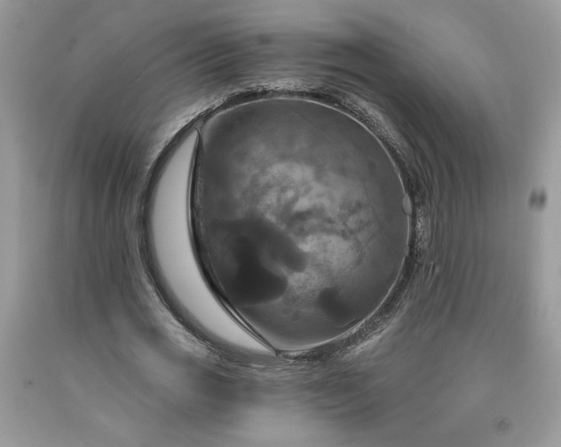 X0000091640725200709060937
