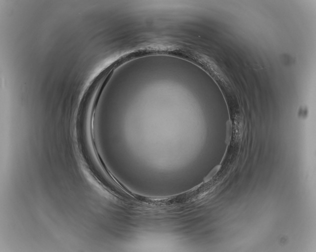 X0000091640726200709060937