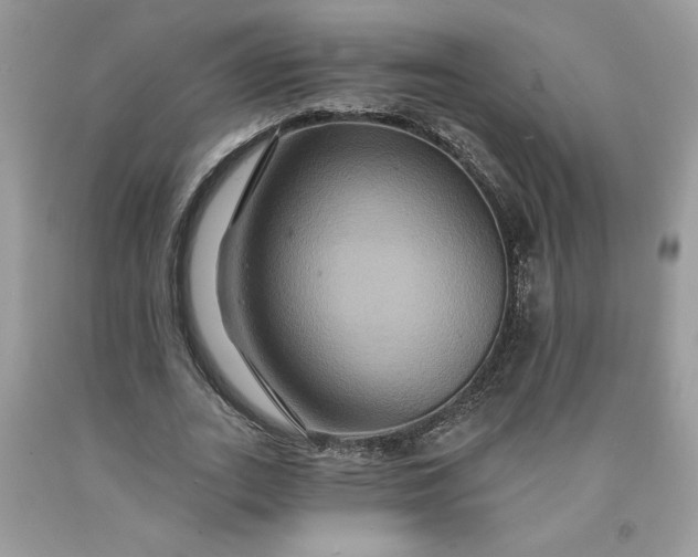 X0000091640727200709060937