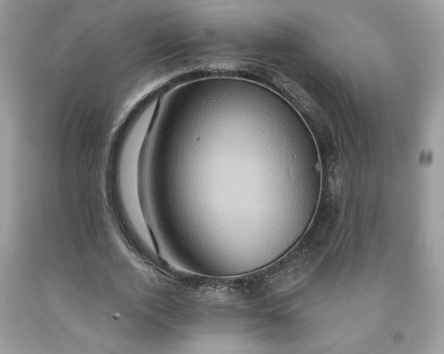 X0000091640728200709060937