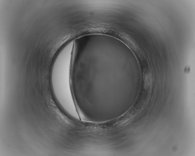 X0000091640729200709060937