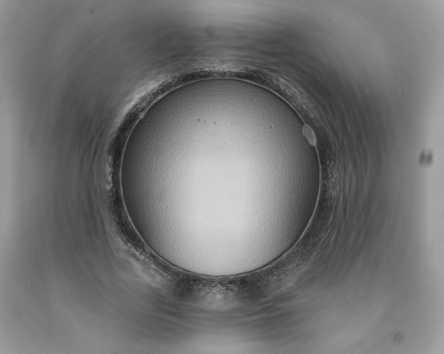 X0000091640731200709060937