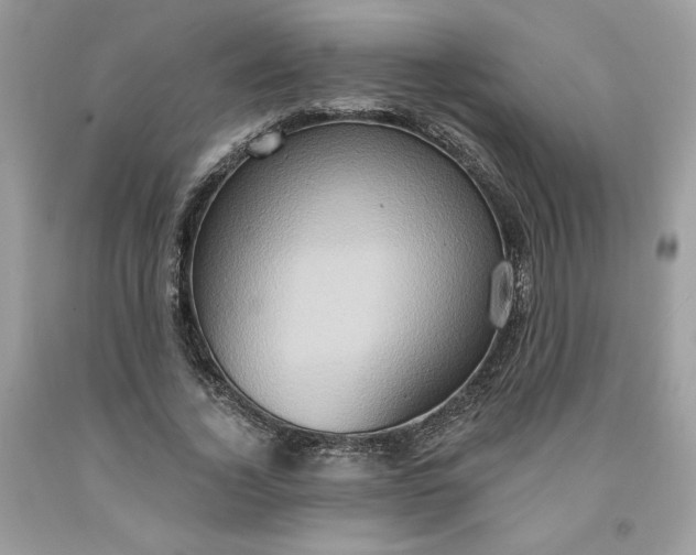 X0000091640732200709060937