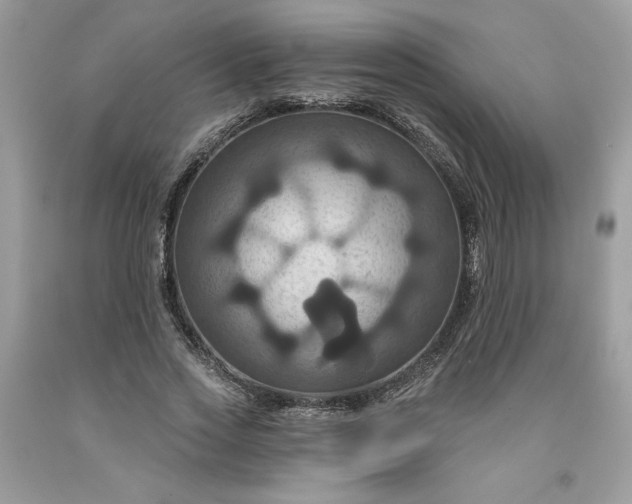 X0000091640733200709060937