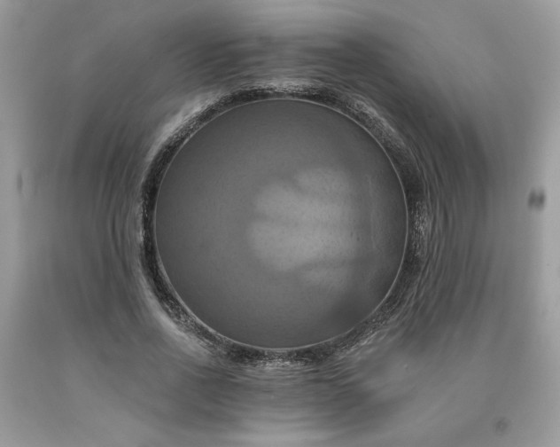 X0000091640734200709060937
