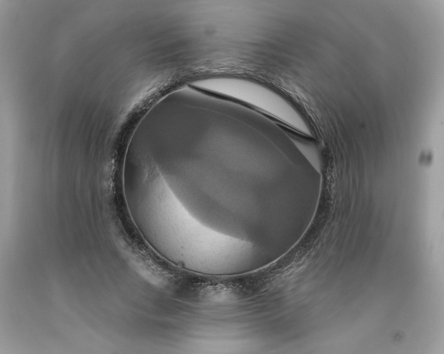 X0000091640735200709060937