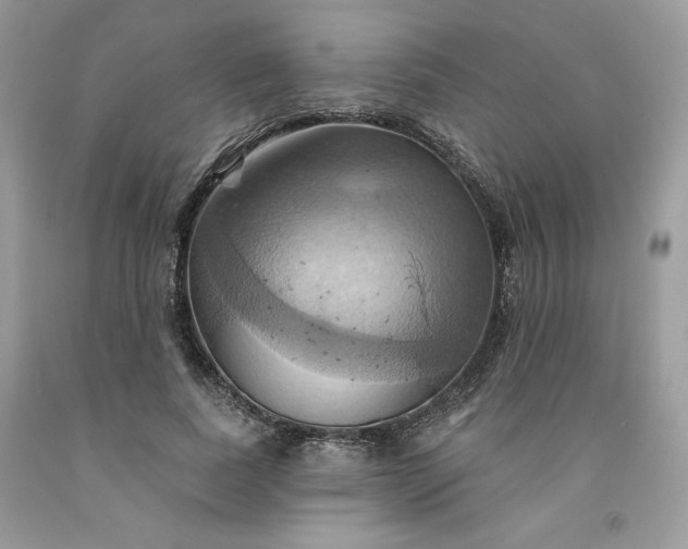 X0000091640739200709060937