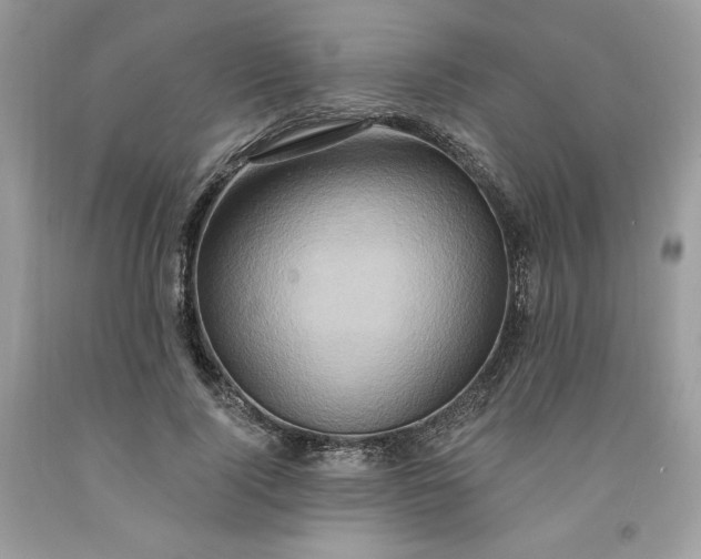 X0000091640740200709060937