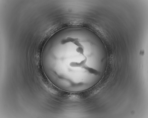 X0000091640741200709060937