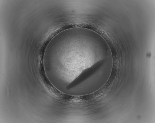 X0000091640742200709060937