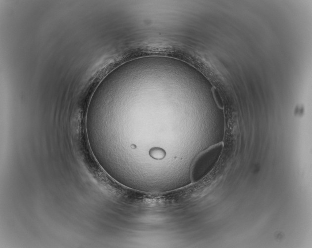 X0000091640744200709060937
