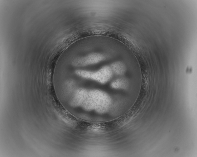 X0000091640745200709060937