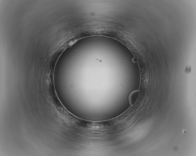 X0000091640746200709060937