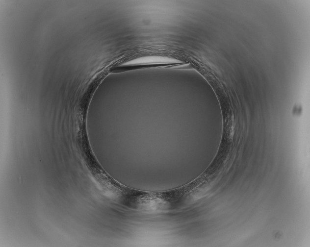 X0000091640747200709060937