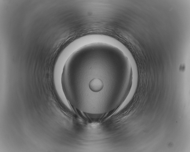 X0000091640748200709060937