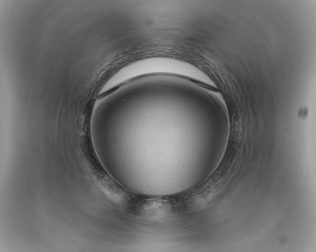 X0000091640750200709060937