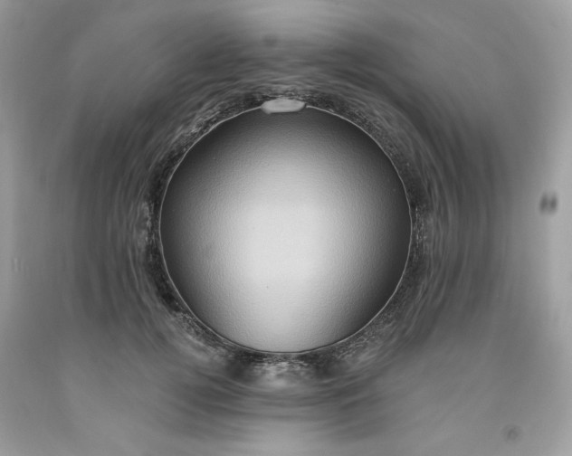 X0000091640752200709060937