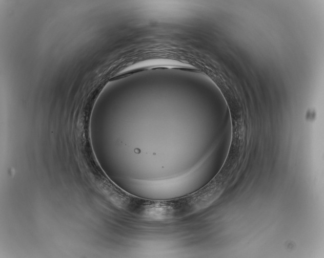 X0000091640754200709060937