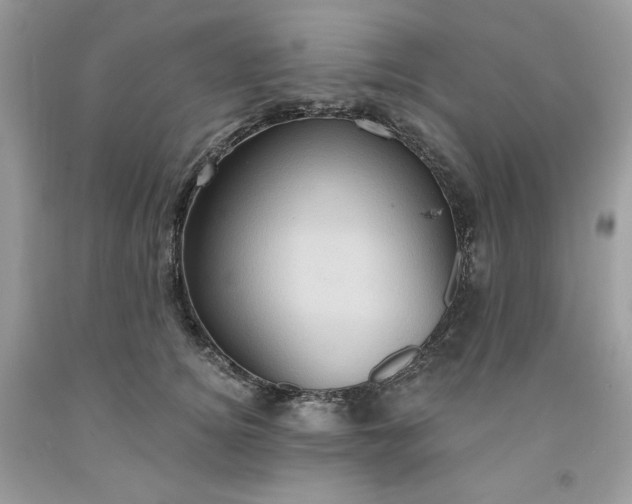 X0000091640756200709060937