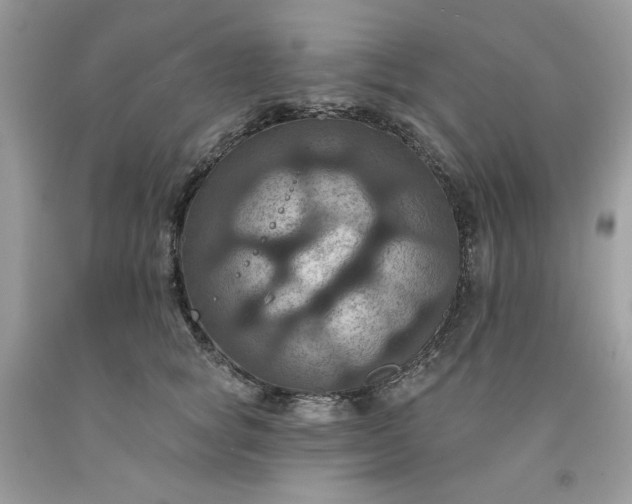 X0000091640757200709060937