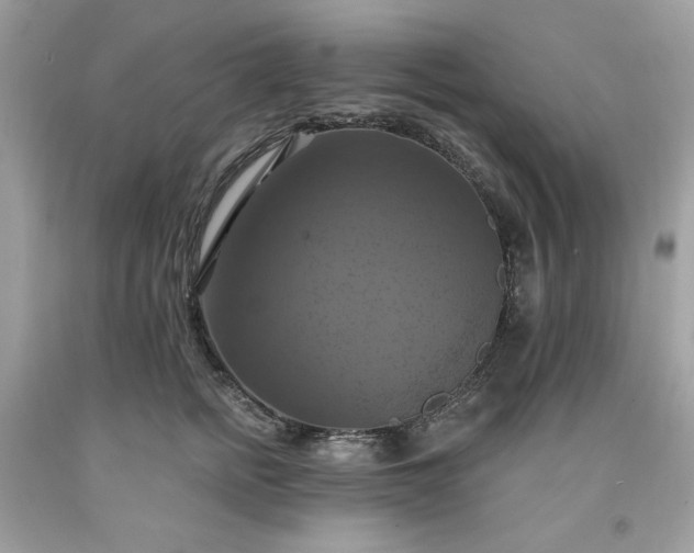 X0000091640758200709060937
