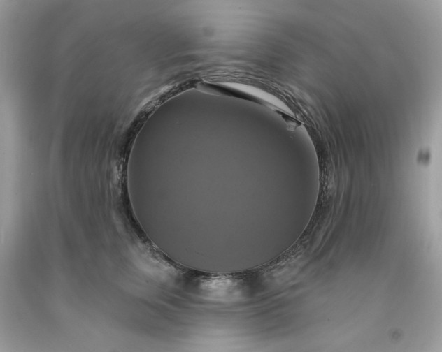 X0000091640759200709060937