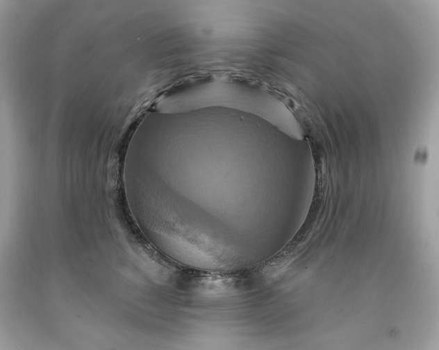 X0000091640760200709060937