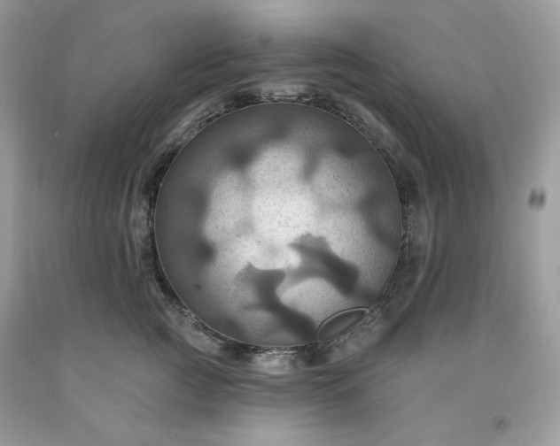 X0000091640761200709060937