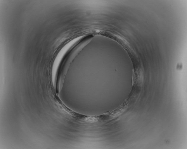 X0000091640762200709060937