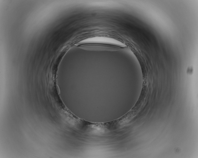 X0000091640763200709060937