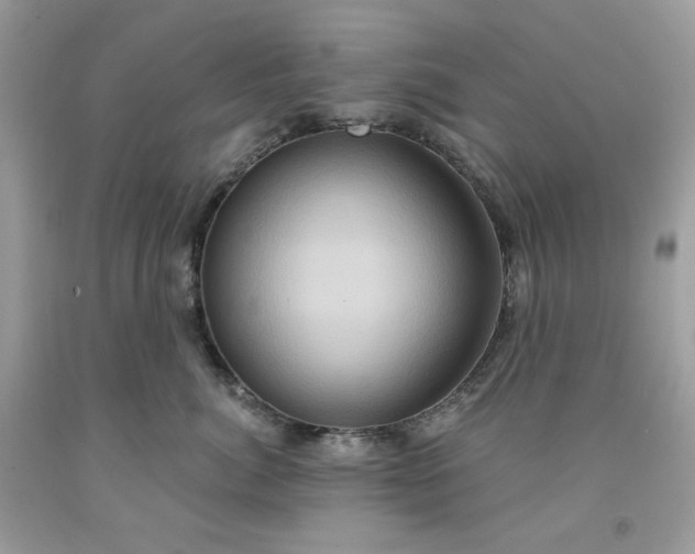 X0000091640764200709060937